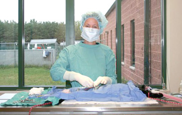 Dr. Laurie Peek